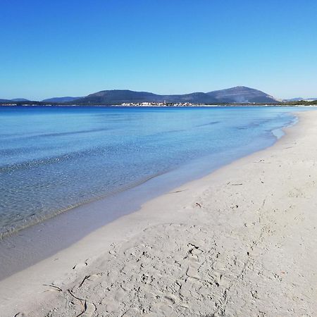Nuovissimo Appartamento Con Terrazza Αλγκέρο Εξωτερικό φωτογραφία